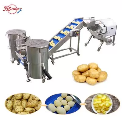 Diced Potato Processing Solution - Washing Peeling and Dicing Machine