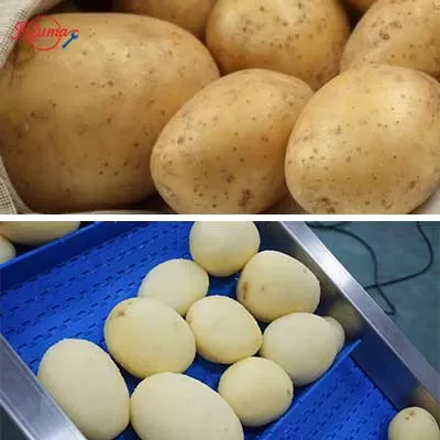 potato dicing production line