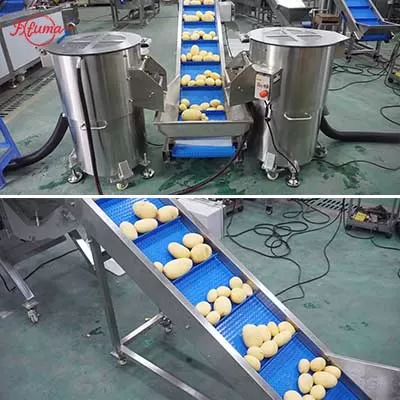 industrial potato peeling and dicing system