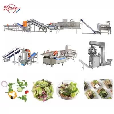 Fresh-Cut Salad Processing Line - Cutter, Washer, Centrifuge