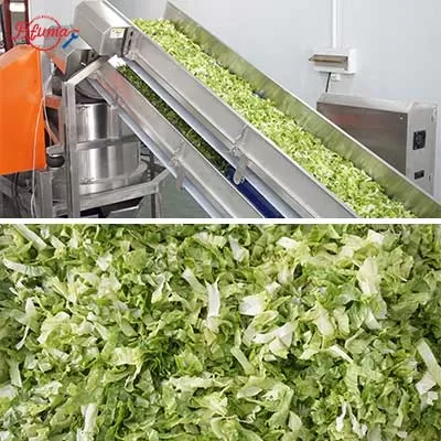 pre-cut vegetable production line