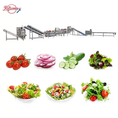 Salad Kits Production Line - Cutter, Double Washer, Centrifuge