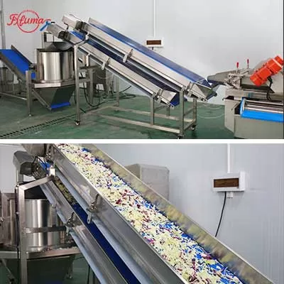 Salad Kits Production Line - Cutter, Double Washer, Centrifuge