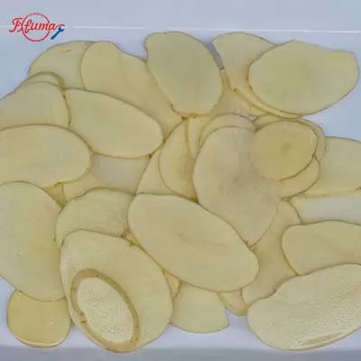potato slicing machine