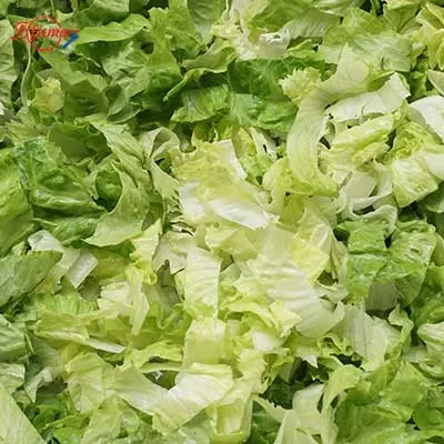 lettuce slicing machine