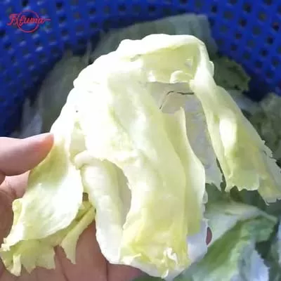 vegetable dehydrator dryer machine