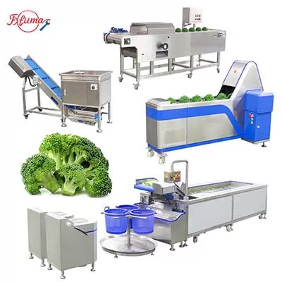 broccoli cutting production line