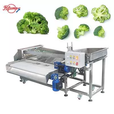 Belt-Type Vegetable Fruit Sorting and Grading Machine - For Frozen or Fresh Broccoli Plum Cherry