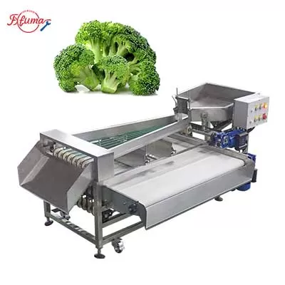 Belt-Type Vegetable Fruit Sorting and Grading Machine - For Frozen or Fresh Broccoli Plum Cherry