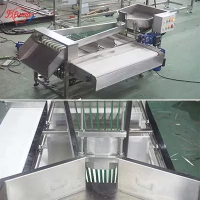 Belt-Type Vegetable Fruit Sorting and Grading Machine - For Frozen or Fresh Broccoli Plum Cherry