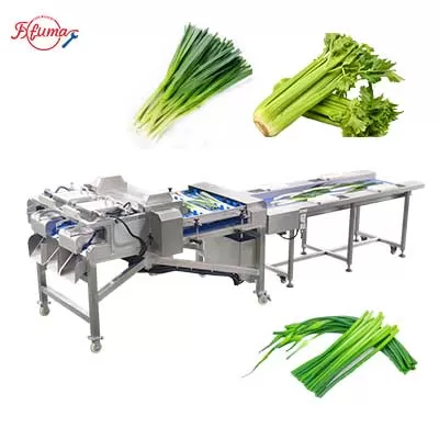 Dual-Head Vegetable Root Trimming and Cutting Machine for Garlic Onion, Scallions, Asparagus