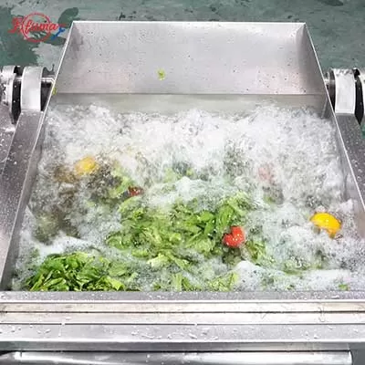 Auto-Discharge Fruit and Vegetable Bubbble Washer 