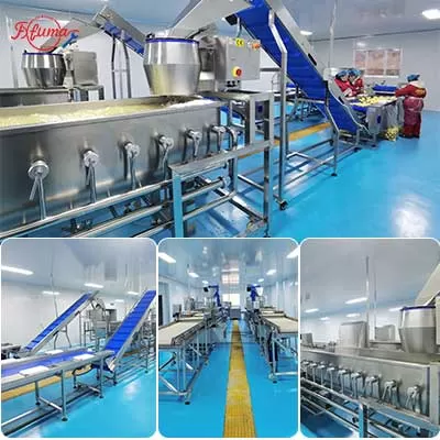 automatic french fries production line