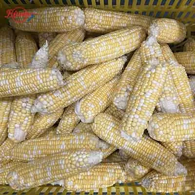 Automatic Fresh Corn Dehusking Machine