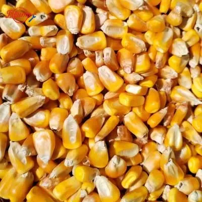 commercial sweet corn thresher machine