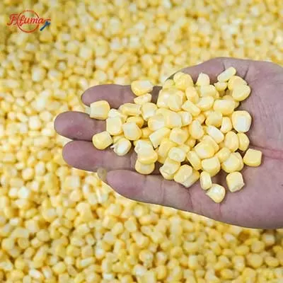 small-sweet-corn-processing-line-degerming-blanching-drying.jpg