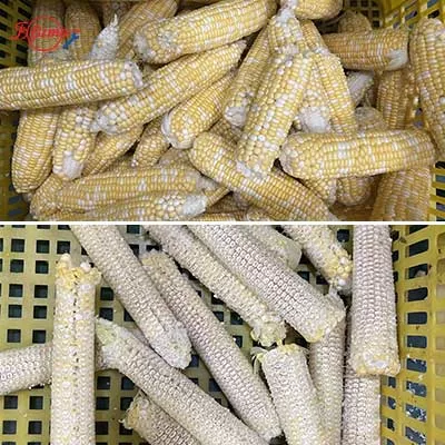sweet corn production line - fxfm machine