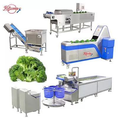 Cauliflower Broccoli Production Line - From Washing to Cutting