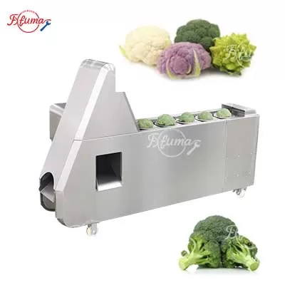 Commercial Cauliflower and Broccoli Florets Stems Cutting Machine