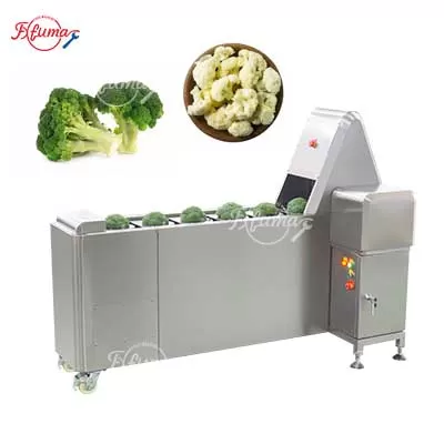 Broccoli-Cauliflower-Floretting-Machine-Efficient-Cutting-Food-Processing-Equipment-Central-Kitchen.jpg