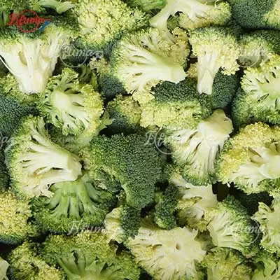 Broccoli & Cauliflower Floretting Machine cutting fresh broccoli, showcasing automated food processing line.