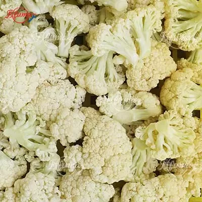 Broccoli & Cauliflower Floretting Machine cutting fresh broccoli, showcasing automated food processing line.