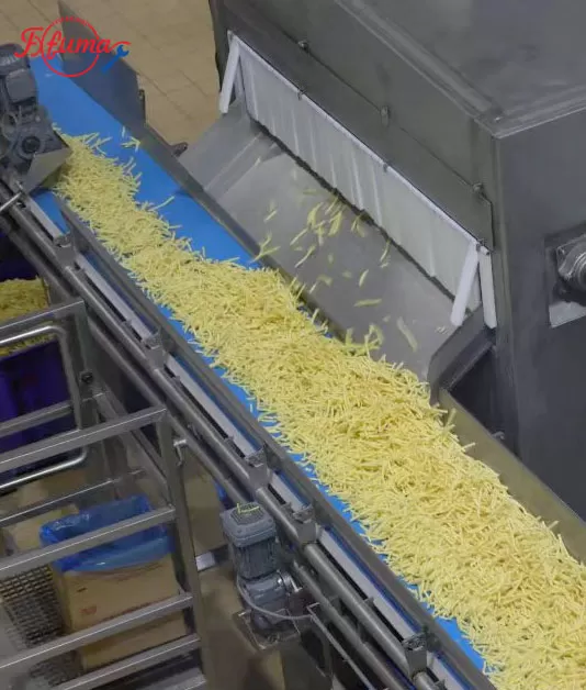 End-to-End Potato Processing Solutions