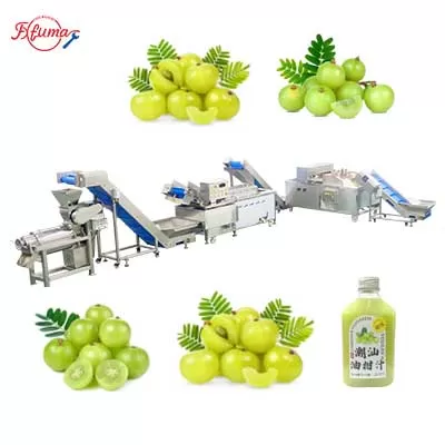Small Scale Plum Emblica Gooseberry Juice Processing Line - Washing, Coring, Blanching, Juice Extraction