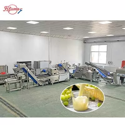 phyllanthus-emblica-juice-line-brush-spray-washer-food-processing-equipment.jpg