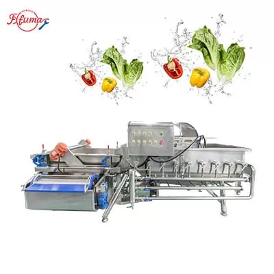 vortex vegetable washer
