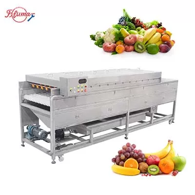 Roller Brush Root Vegetable and Fruit Washing Machine with High Pressure Spray
