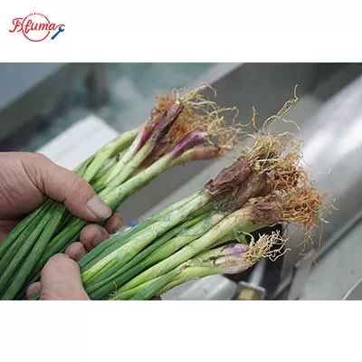 scallion peeler machine