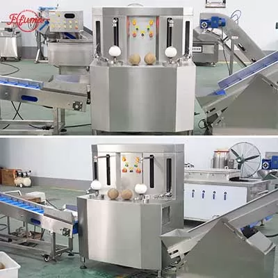 automatic coconut peeling machine