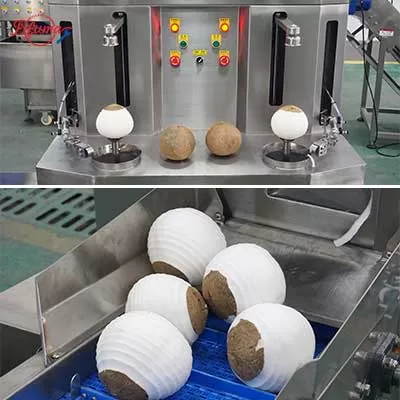 coconut brown skin peeling machine