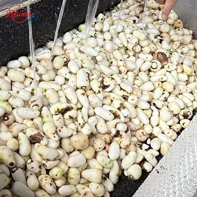 baby taro peeler and washer machine with brush and sand roller