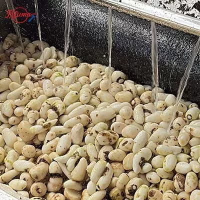 baby taro peeler machine