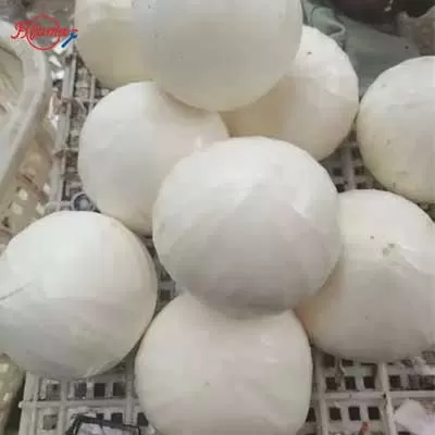 coconut peeling machine