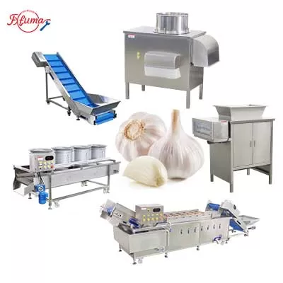 Small and Medium Scale Peeled Garlic Processing Machine Garlic Separator Peeler Washer Air-Dryer Machine