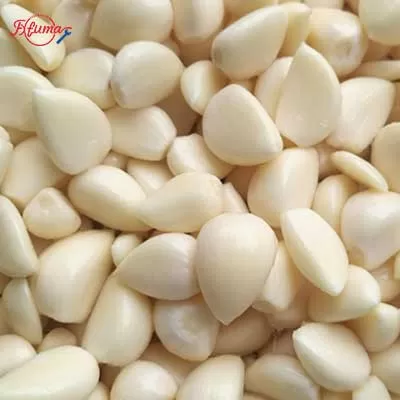garlic processing line-fxfm machine
