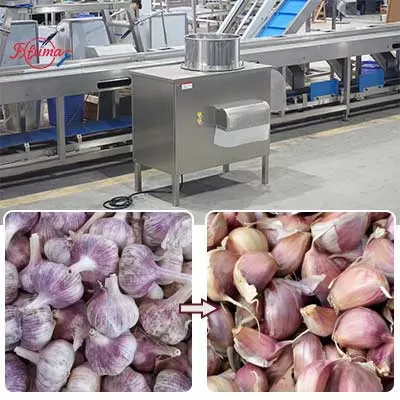 industrial-garlic-clove-separator-machine.jpg