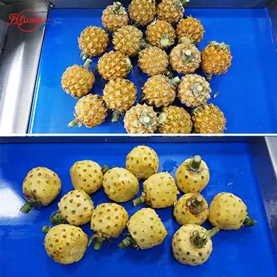 automatic-multi-fruit-peeling-machine.jpg