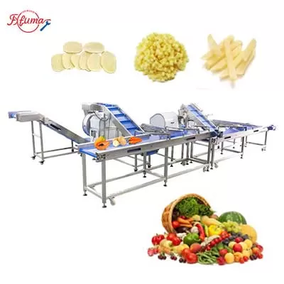 Vegetable and Fruit Distribution Device Sortation Conveyor System for Post-Processing Machines