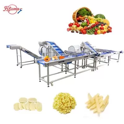 Vegetable and Fruit Sortation Conveyor System