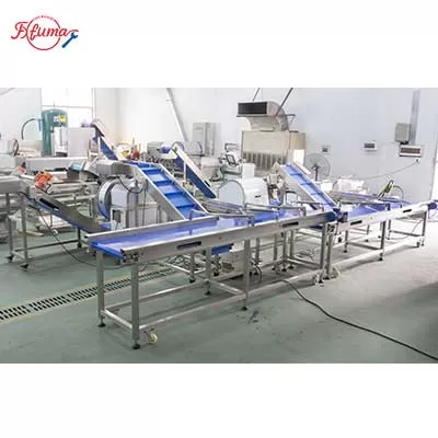 Vegetable and Fruit Sortation Conveyor System