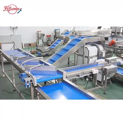 Vegetable and Fruit Sortation Conveyor System