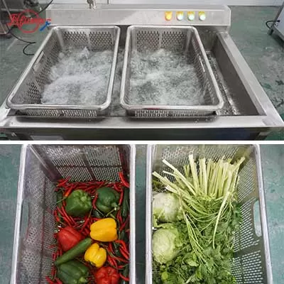 Vegetable Ozone Bubble Washer Machine