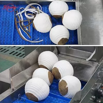 peeled coconut by our electric coconut peeler machine