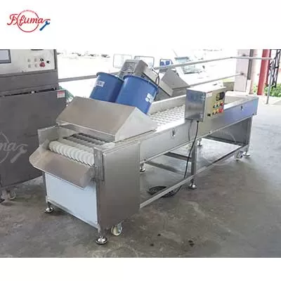 dates cleaning and polishing machine