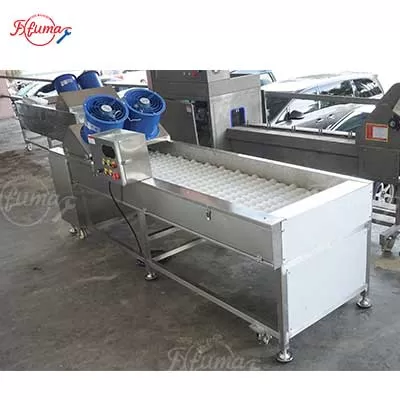 dates cleaning and polishing machine with brush
