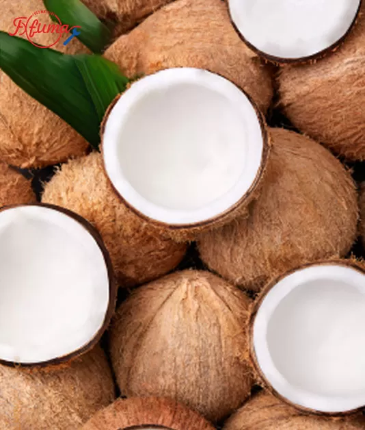 Global Coconut Processing Machines: From Manual Labor to Smart Automation Global Coconut Processing Machines: From Manual Labor to Smart Automation